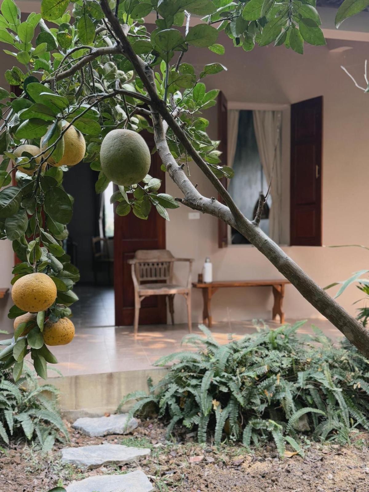 נין בין Nha Lua Homestay מראה חיצוני תמונה